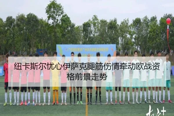 纽卡斯尔忧心伊萨克腿筋伤情牵动欧战资格前景走势