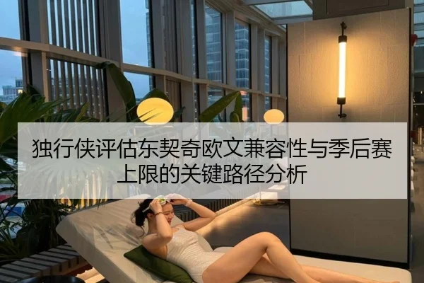 独行侠评估东契奇欧文兼容性与季后赛上限的关键路径分析